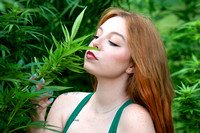 Ellen Maple